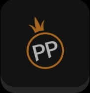 pp模拟器